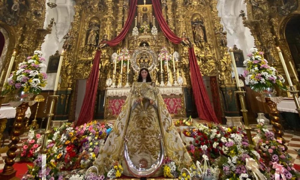 Estepa Ofrenda 2
