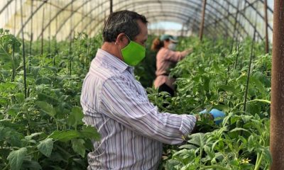 El confinamiento y la Huerta del Rosario: la lucha por mantener lo tradicional