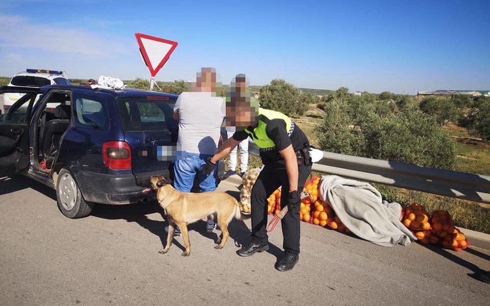 Policia El Saucejo control
