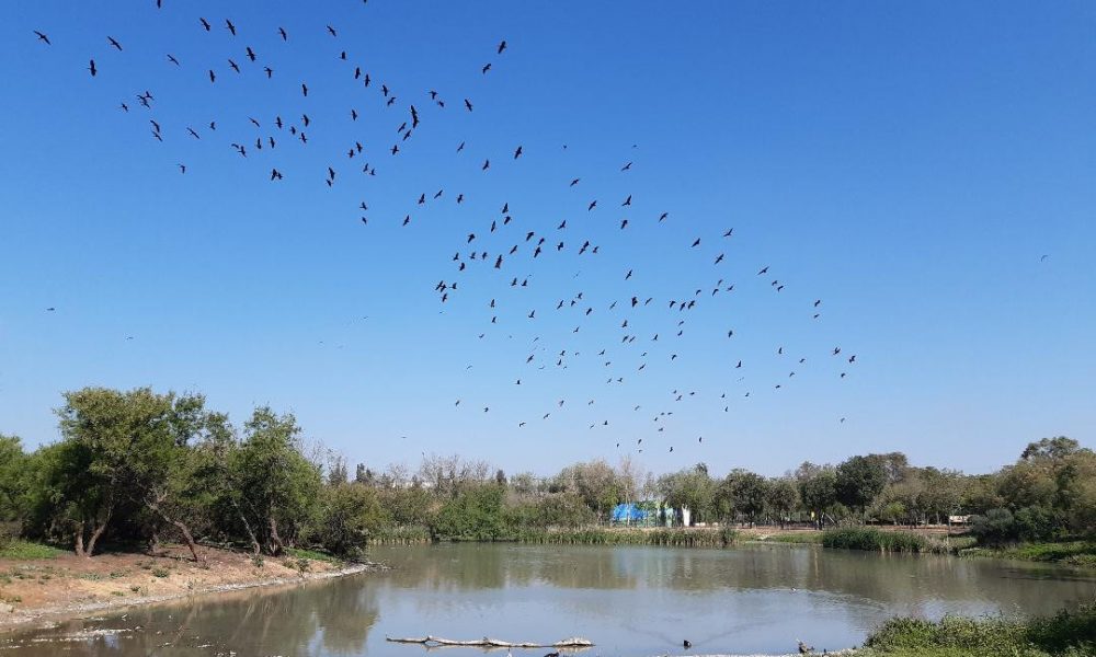 laguna piedra dos hermanas