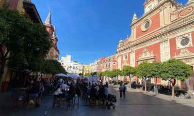 Denuncian a dos jóvenes que disparaban desde un céntrico ático de Sevilla a ejemplares de cernícalos 