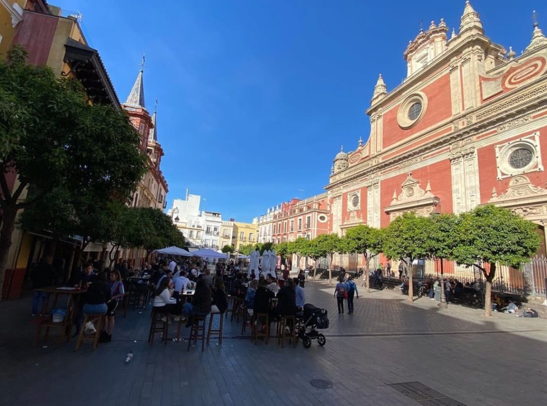 Denuncian a dos jóvenes que disparaban desde un céntrico ático de Sevilla a ejemplares de cernícalos 