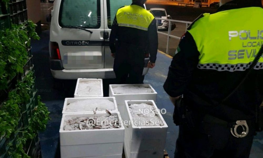 policia sevilla 1