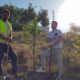 Pruna el pueblo donde se planta un árbol por cada recién nacido