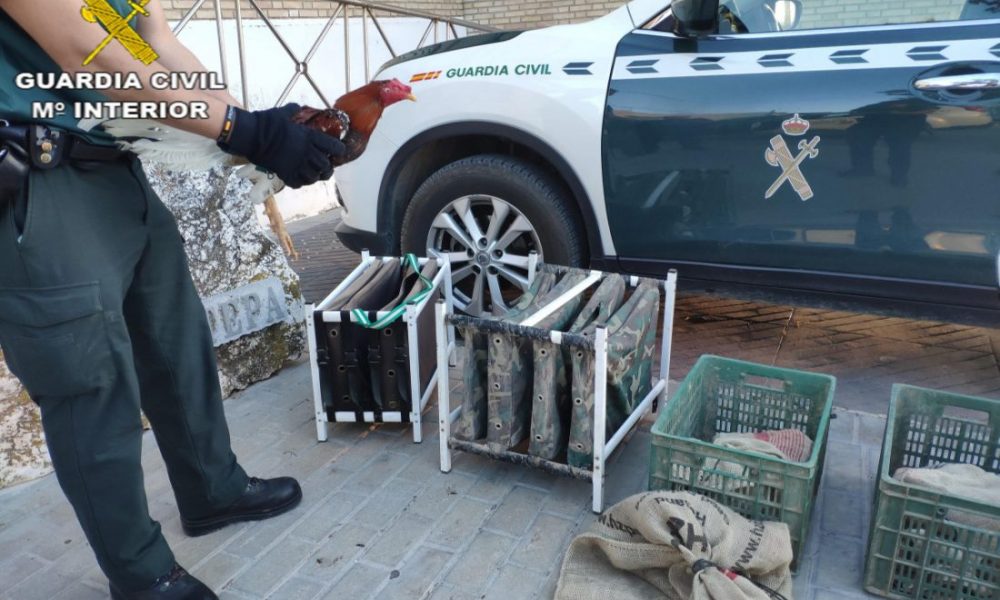 La Guardia Civil impide una pelea de gallos clandestina en Casariche e identifica a 17 personas con múltiples antecedentes