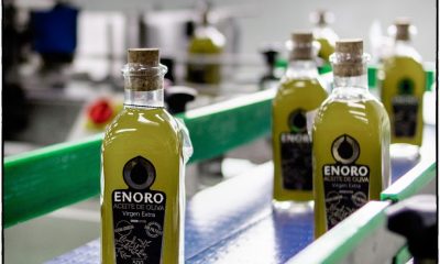 Ifapa crea nuevos métodos de control de humedad e impurezas del aceite de oliva y del contenido graso de la aceituna