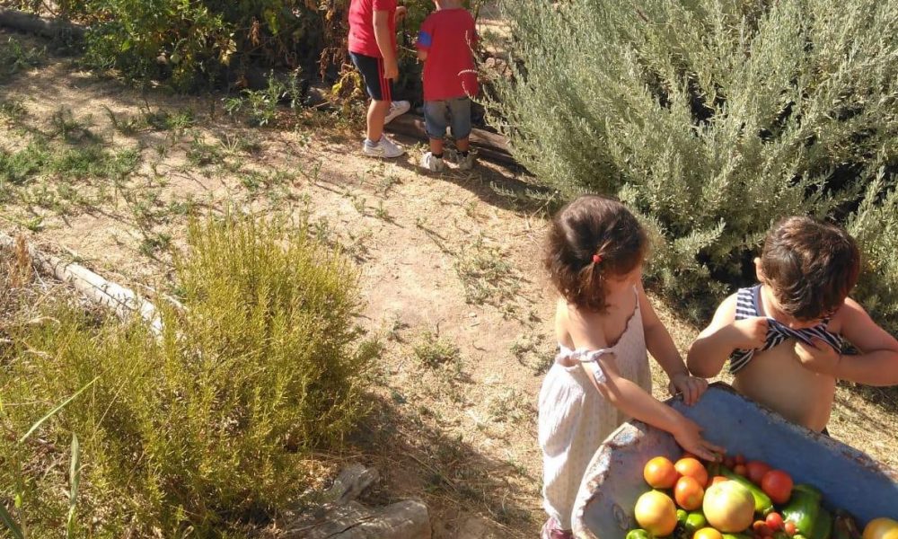 Granja Escuela 2