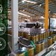 La IGP Manzanilla y Gordal cierra el plazo de inscripción para las industrias envasadoras y centros de compra de aceitunas