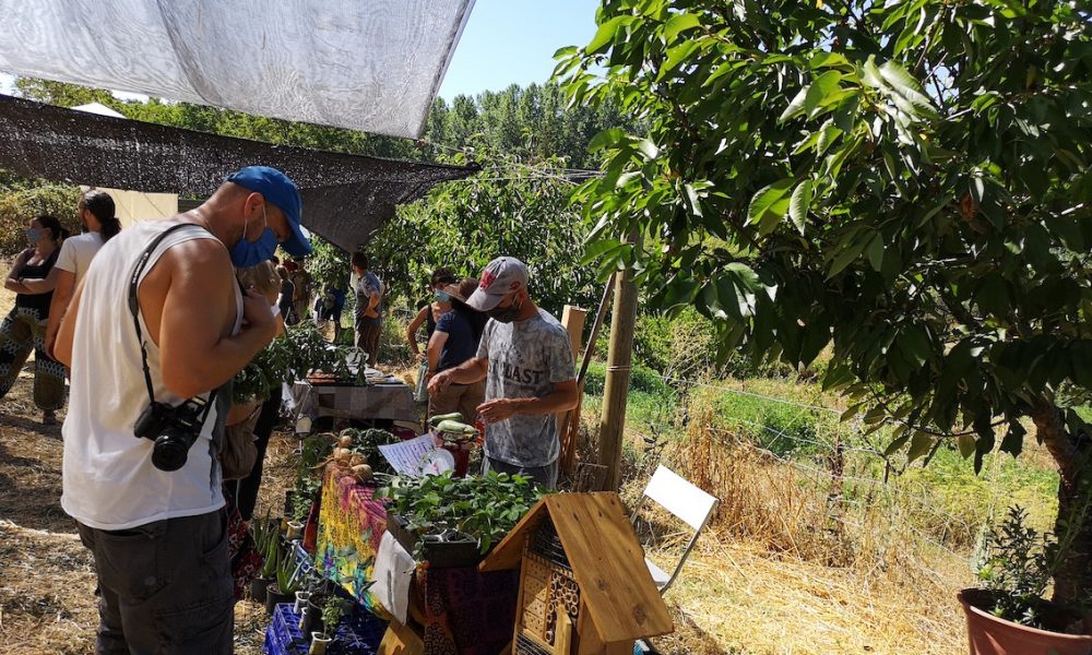 mercado la nava 2