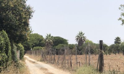 Unos vecinos de Arahal impiden el robo de maquinaria en varios chalés 