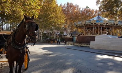 Vox pide en Sevilla ayudas para los cocheros de caballos que pasan por "una crítica situación"
