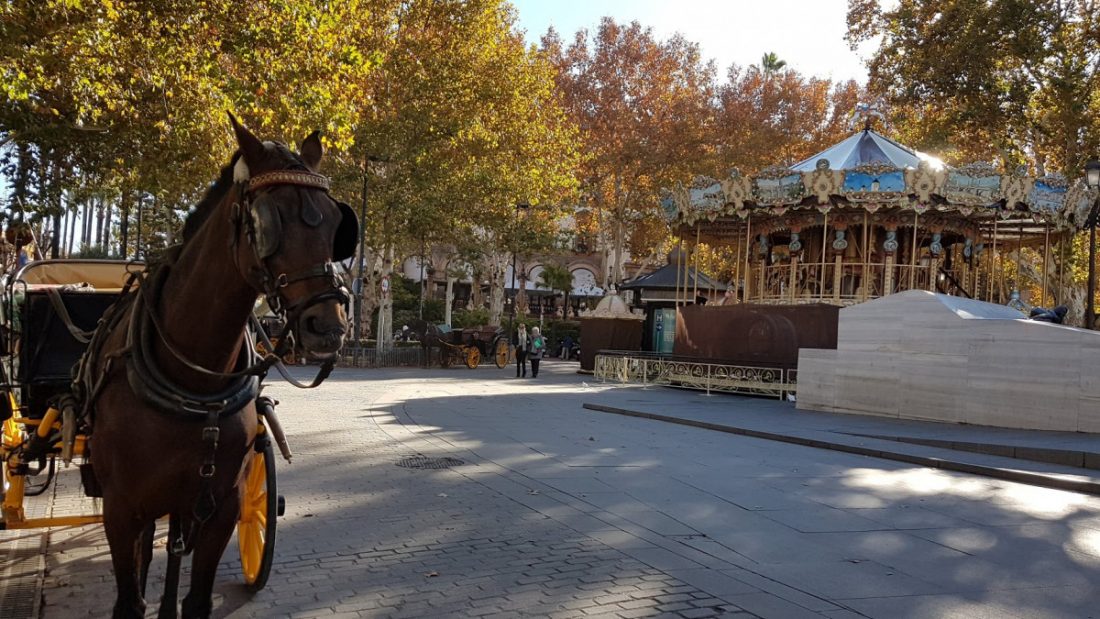 Vox pide en Sevilla ayudas para los cocheros de caballos que pasan por "una crítica situación"