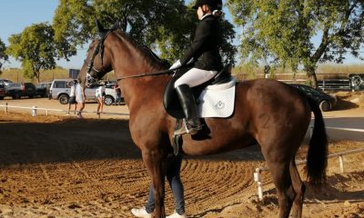 Una niña arahalense, primer puesto en una prueba puntuable para la VI Copa Andalucía 2020 de Doma Clásica 