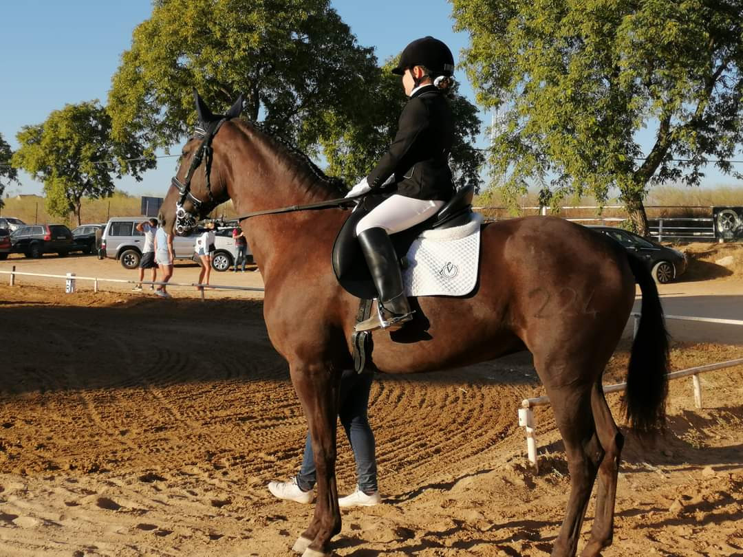 Una niña arahalense, primer puesto en una prueba puntuable para la VI Copa Andalucía 2020 de Doma Clásica 