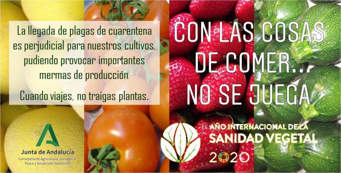 Con las cosas de comer no se juega", nueva campaña de Agricultura en Andalucía