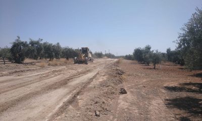 Unos 80 agricultores de Arahal piden a la Junta que arreglen "mejor" la vereda de Espartero