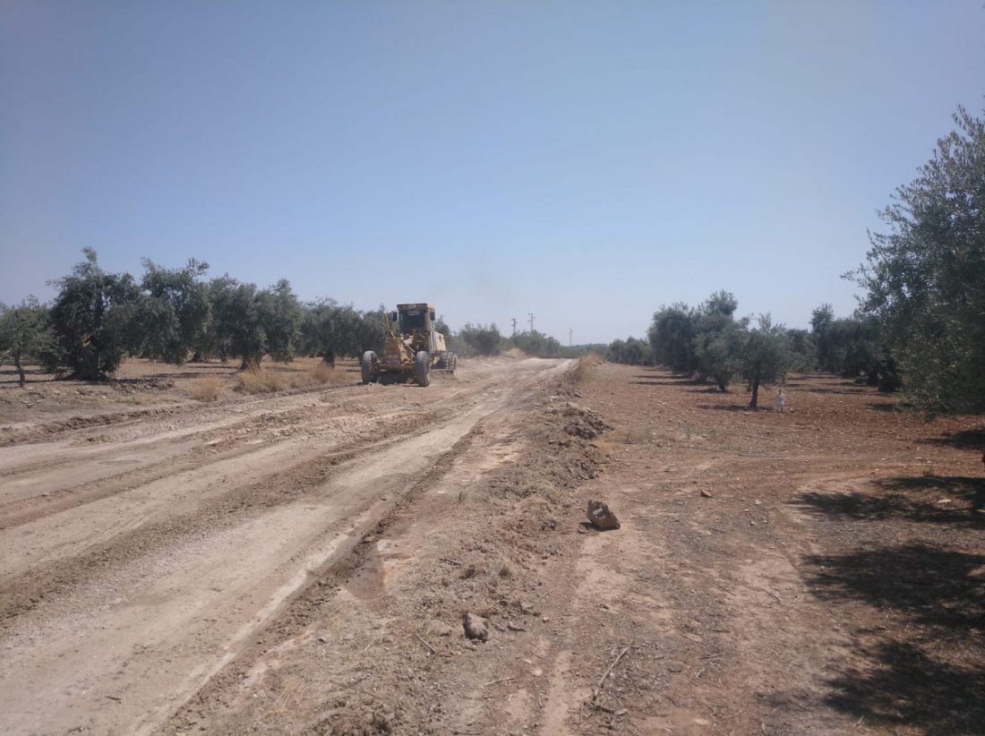 Unos 80 agricultores de Arahal piden a la Junta que arreglen "mejor" la vereda de Espartero