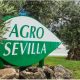 Agro Sevilla anuncia que la plantilla de sus centros de trabajo está libre de coronavirus 