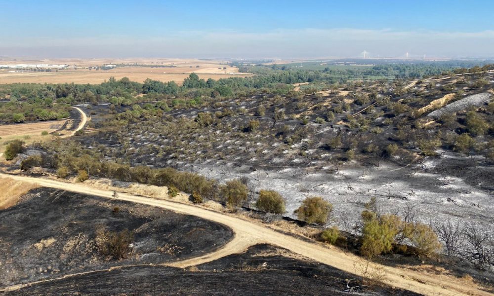 incendio benacazon