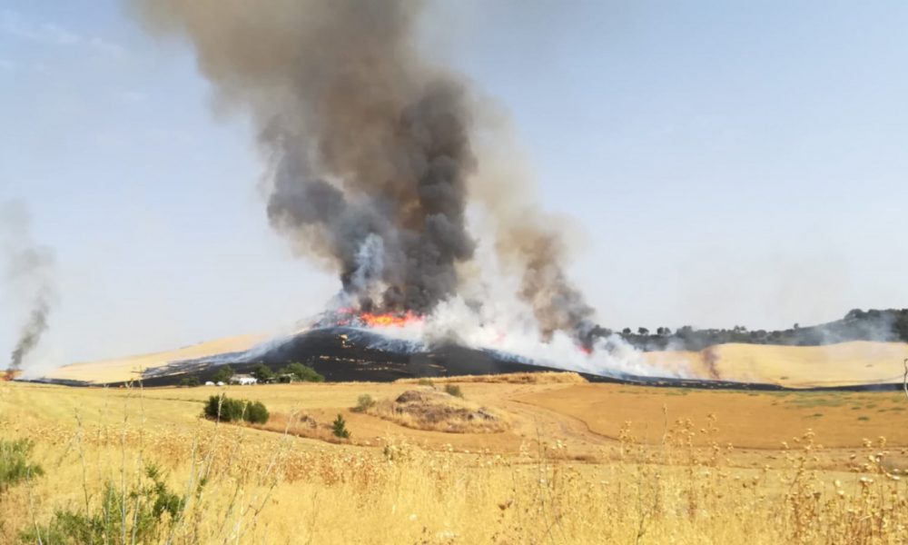 incendio ronda