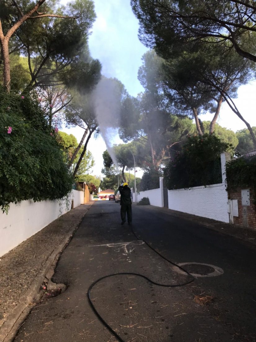 Fumigación contra el mosquito del virus del Nilo junto al Guadaíra y parques urbanos