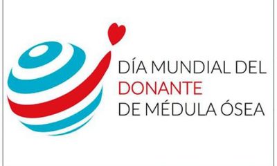 La donación de médula ósea crece en España hasta los 434.000 donantes