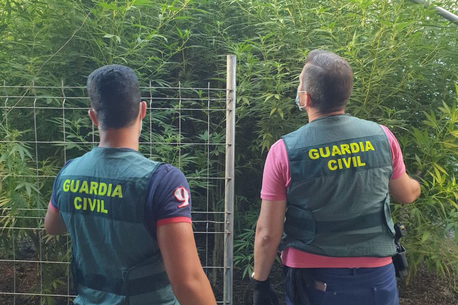 MARIHUANA Osuna
