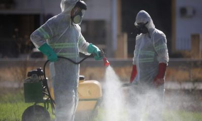 Arahal comenzará la fumigación de "zonas sensibles" contra el mosquito del virus del Nilo