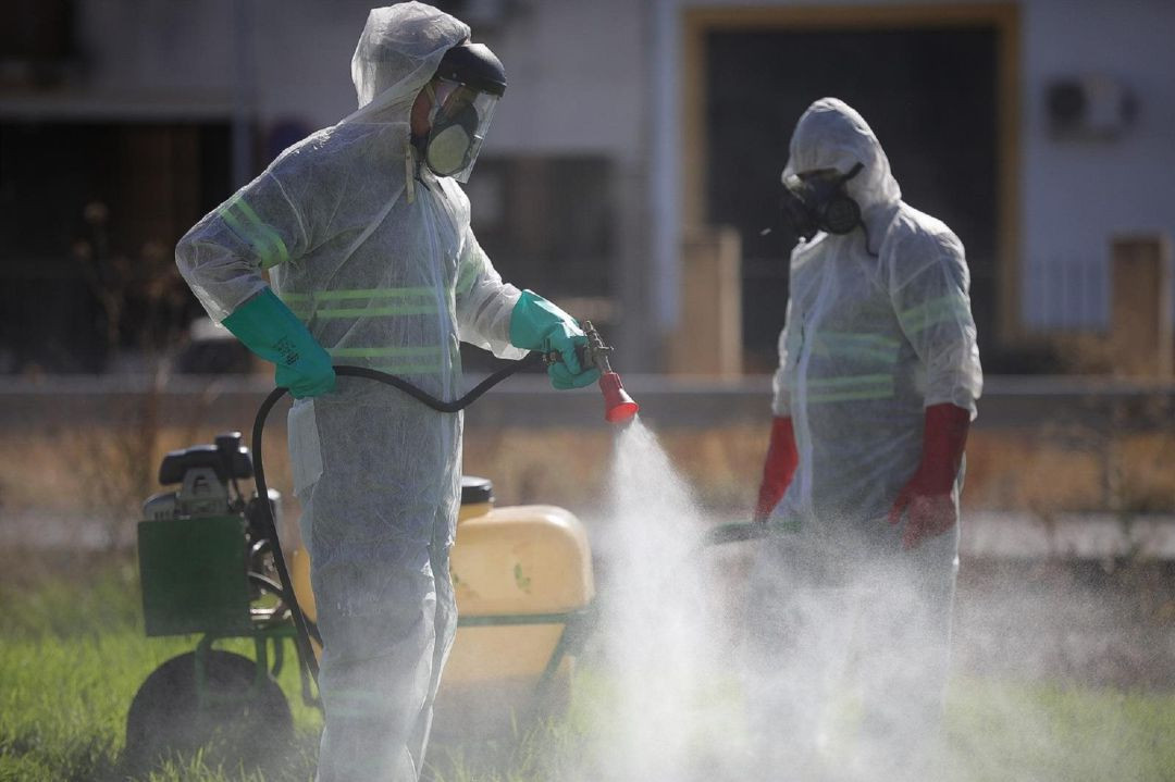 Arahal comenzará la fumigación de "zonas sensibles" contra el mosquito del virus del Nilo