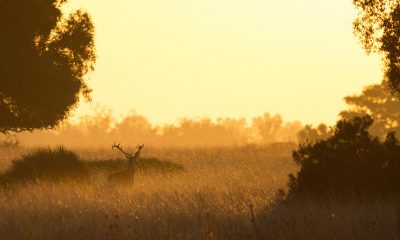 Desarrollo Sostenible premia la mejor imagen y relato corto que difunden la riqueza de los espacios naturales de Andalucía