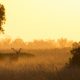 Desarrollo Sostenible premia la mejor imagen y relato corto que difunden la riqueza de los espacios naturales de Andalucía