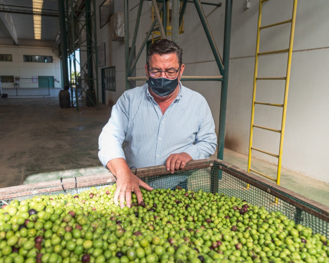 Gabriel Cabello, presidente de Agro Sevilla: "Las gordales se venden dentro de un Dry Martini"