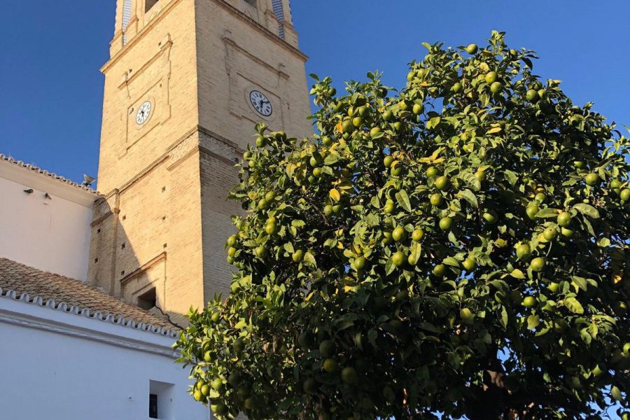 Arahal iglesia