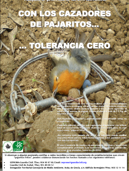 Jaedilla-Ecologistas en Acción piden vigilancia en el campo de Arahal para evitar la caza ilegal de "pajaritos"