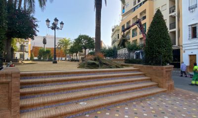 Campaña de poda y tratamiento contra plagas de más de 200 palmeras en Alcalá