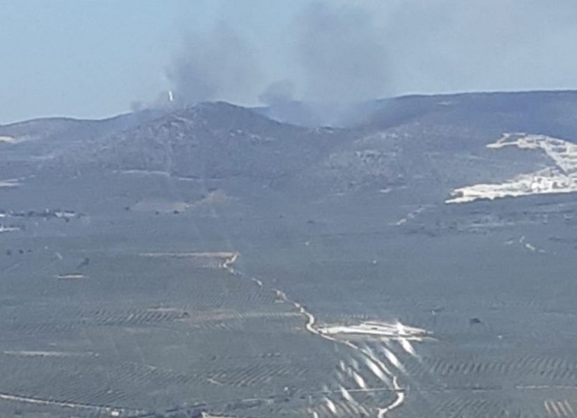 Incendio forestal