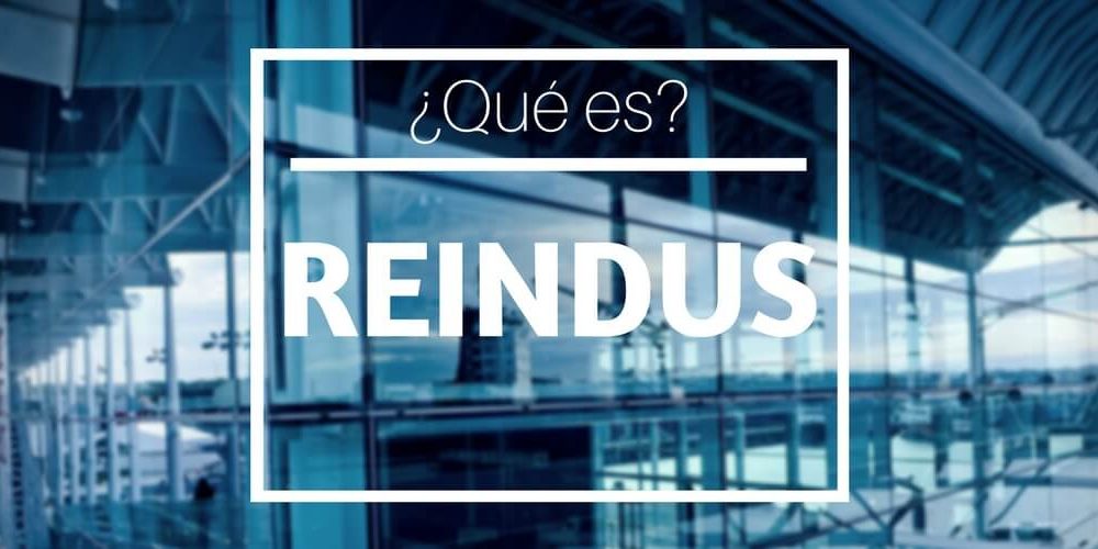 REINDUS qu es min