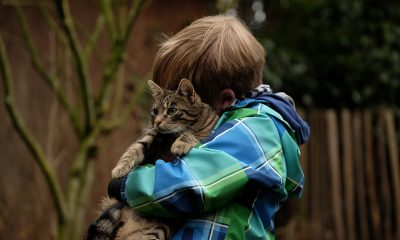 Acuerdo en La Puebla del Río para realizar un Registro de Animales de Compañía