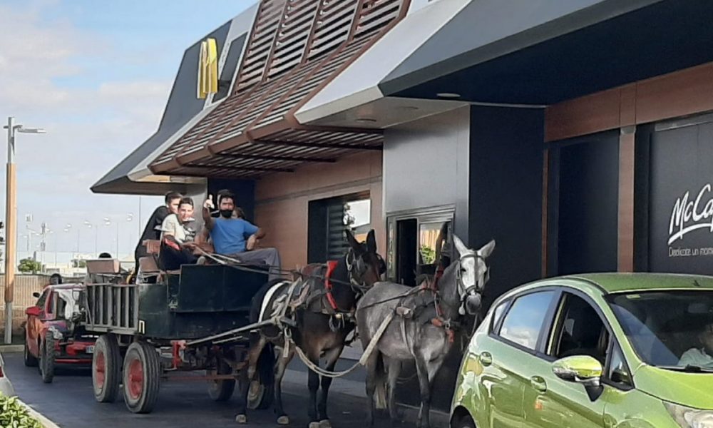 mcdonald