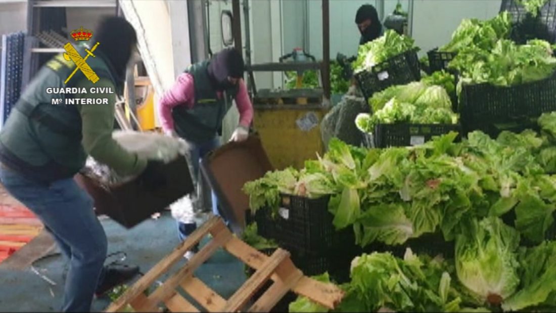 Incautados 155 kilos de marihuana y 60 kilos de hachís ocultos entre palets de verdura