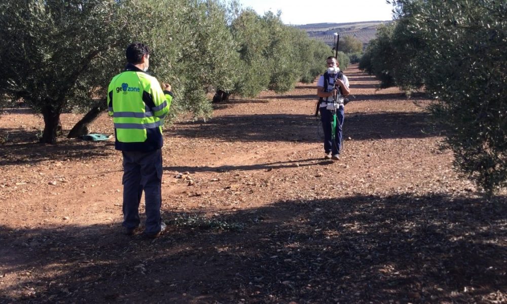 Comienzan los trabajos de prospección para hallar más restos arqueológicos junto a las termas romanas de Herrera 