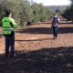 Comienzan los trabajos de prospección para hallar más restos arqueológicos junto a las termas romanas de Herrera 