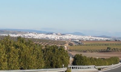 "Los políticos no han incluido la evaluación ambiental en los PGOU hasta estar presionados por las sentencias judiciales" 