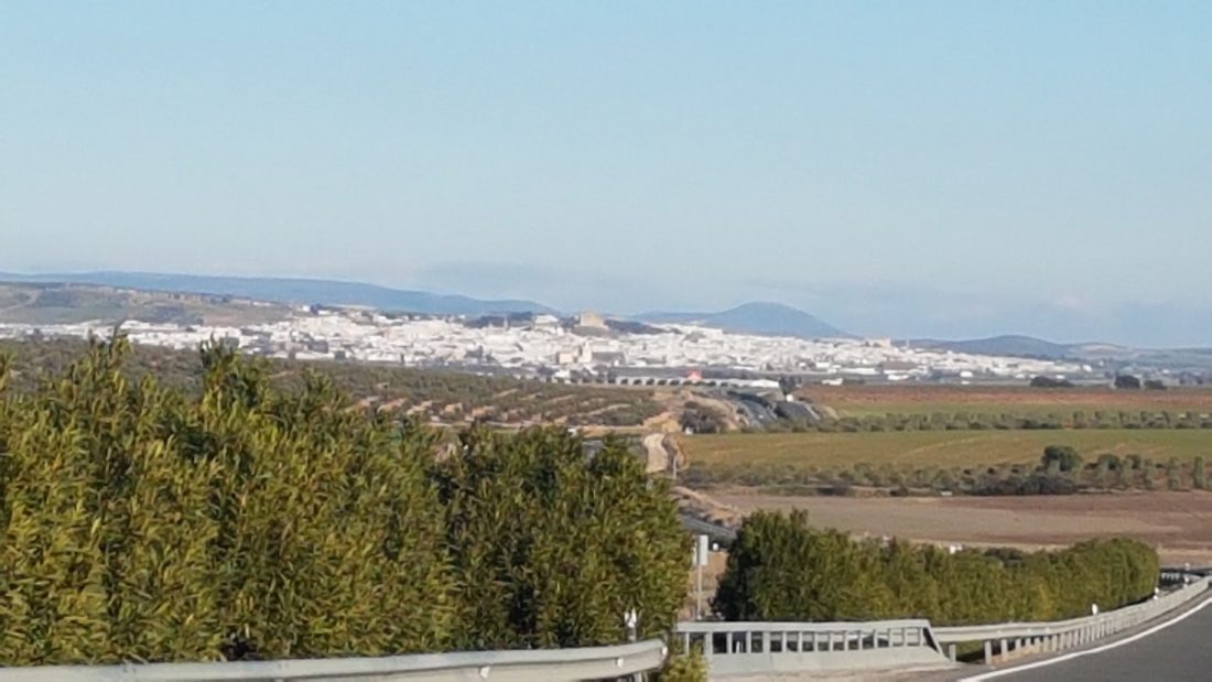 "Los políticos no han incluido la evaluación ambiental en los PGOU hasta estar presionados por las sentencias judiciales" 