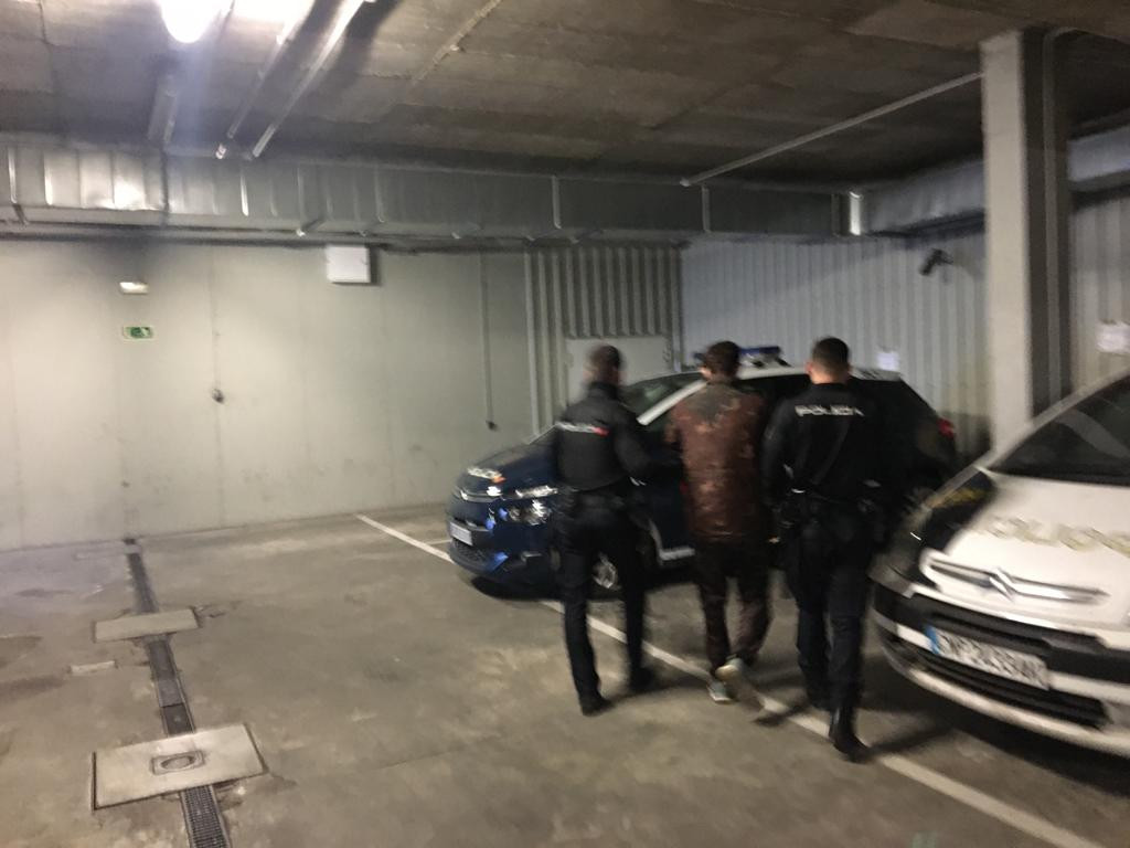 Detenido el propietario de 5 galgos utilizados en peleas callejeras