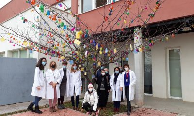 Salud Mental de Valme cuelga en "El árbol de los deseos" mensajes de ánimo para superar la pandemia