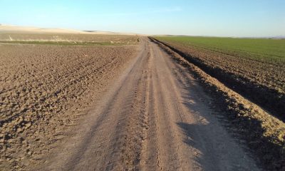 Ecologistas en Acción denuncia la presunta ocupación de una vía pecuaria en la Vereda de Sevilla