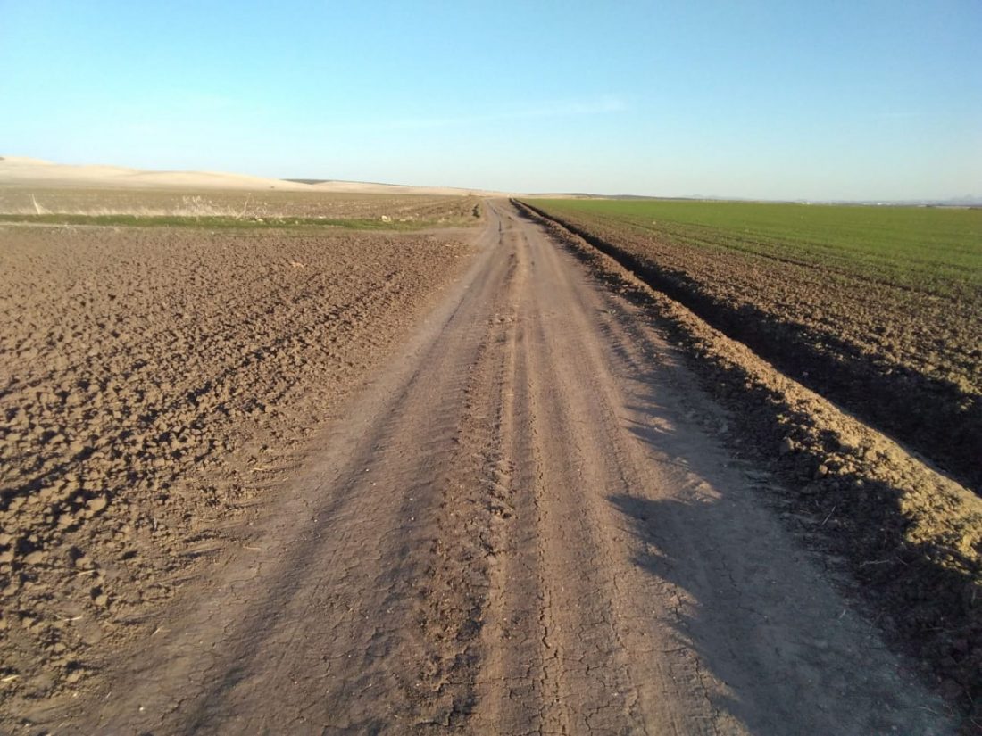 Ecologistas en Acción denuncia la presunta ocupación de una vía pecuaria en la Vereda de Sevilla