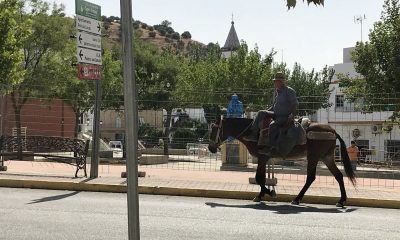 Pruna alcanza la cifra de contagios más alta de la provincia desde principio de la pandemia