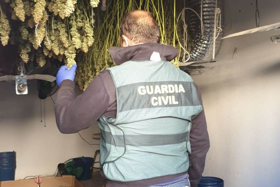 Desmantelada una plantación de cultivo indoor y elaboración de marihuana en la Roda de Andalucía